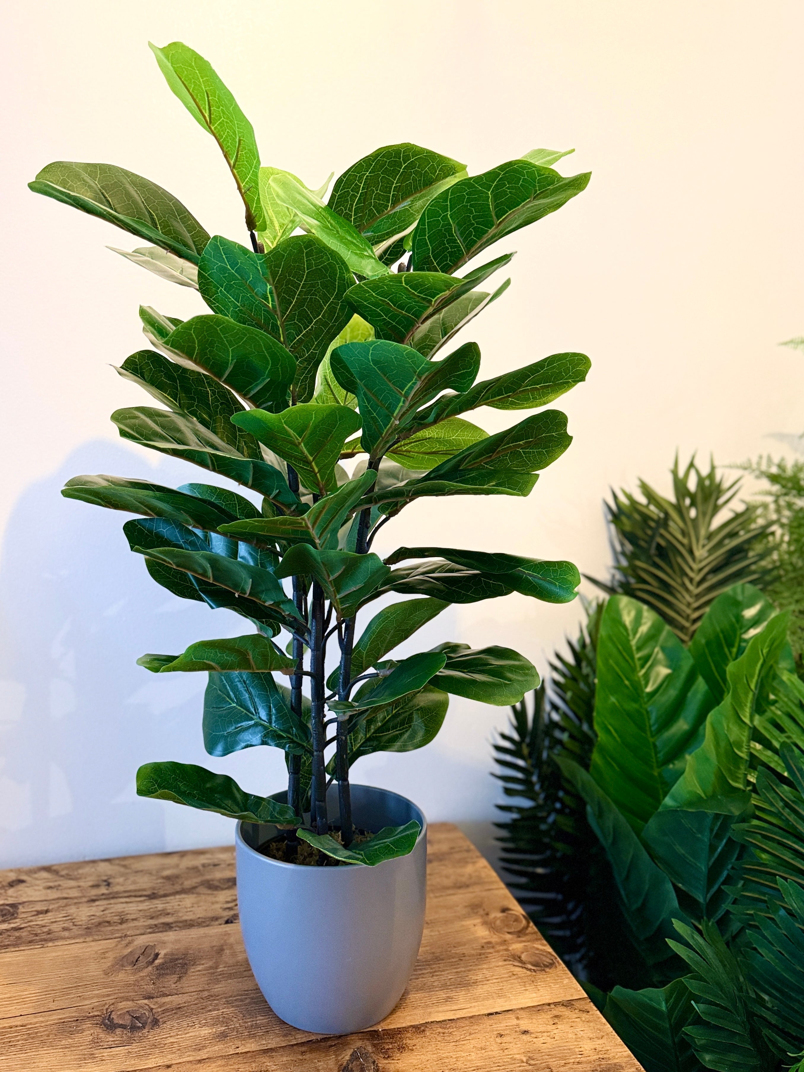 The Best Artificial Plants for Cat Owners    Plantish
