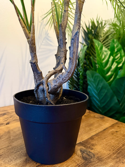 Close up of the Plantish artificial Areca Palm's ultra-realistic twisted trunk and light green fronds, pictured in its base black pot. The detailed design captures the natural beauty of the plant, with lifelike textures and realistic foliage for a truly authentic look.