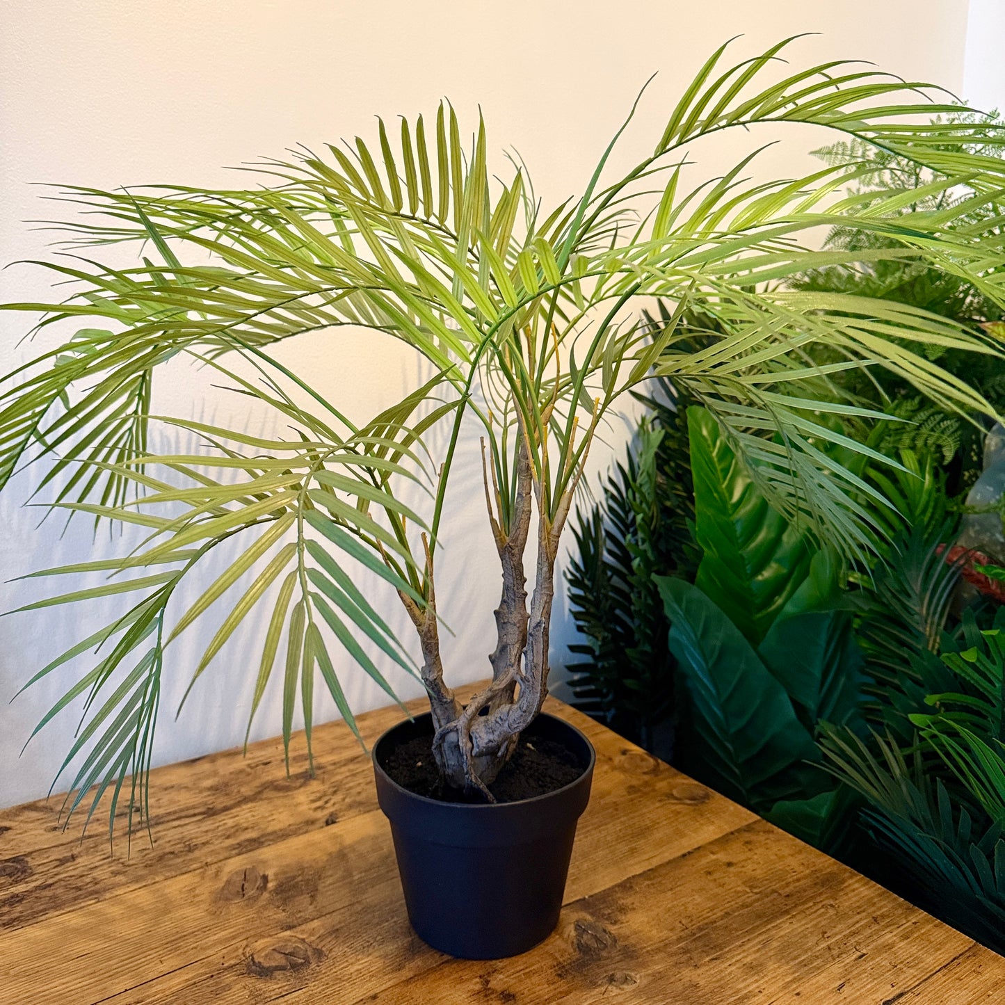 Back view of the Plantish artificial Areca Palm showcasing the intricately twisted trunk and soft light green fronds. The full, natural design and realistic texture make it a stunning addition to modern home decor.
