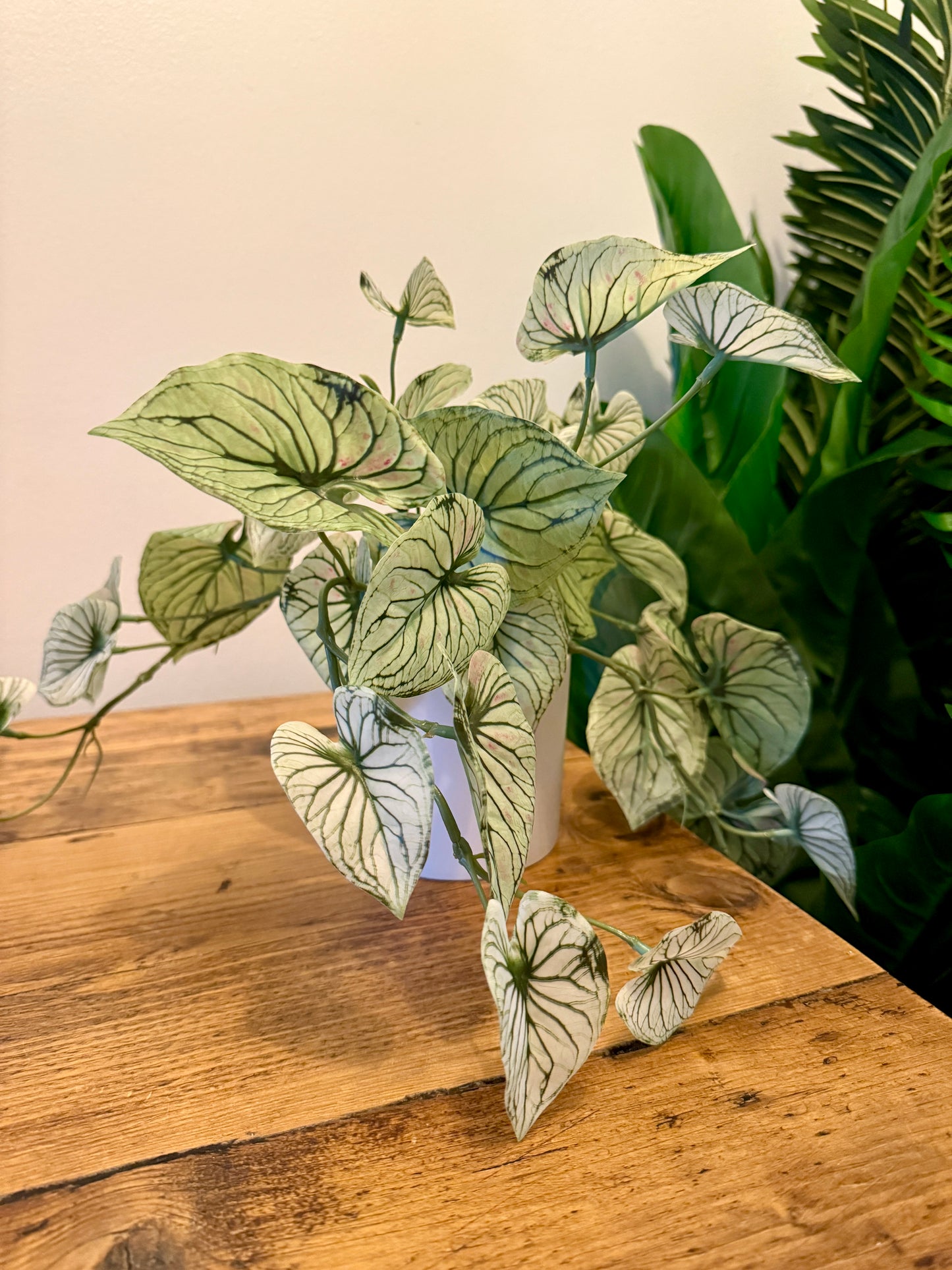 Back view of a Plantish artificial variegated alocasia in a white pot, highlighting the unique leaf patterns and the smooth white pot.