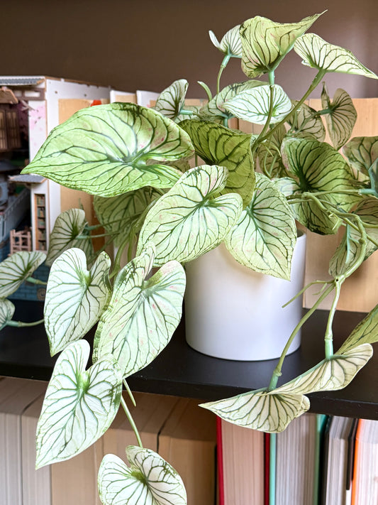Close-up of the Plantish artificial variegated alocasia, focusing on the detailed green and white leaves and the clean white pot, placed on top of a black bookshelf.