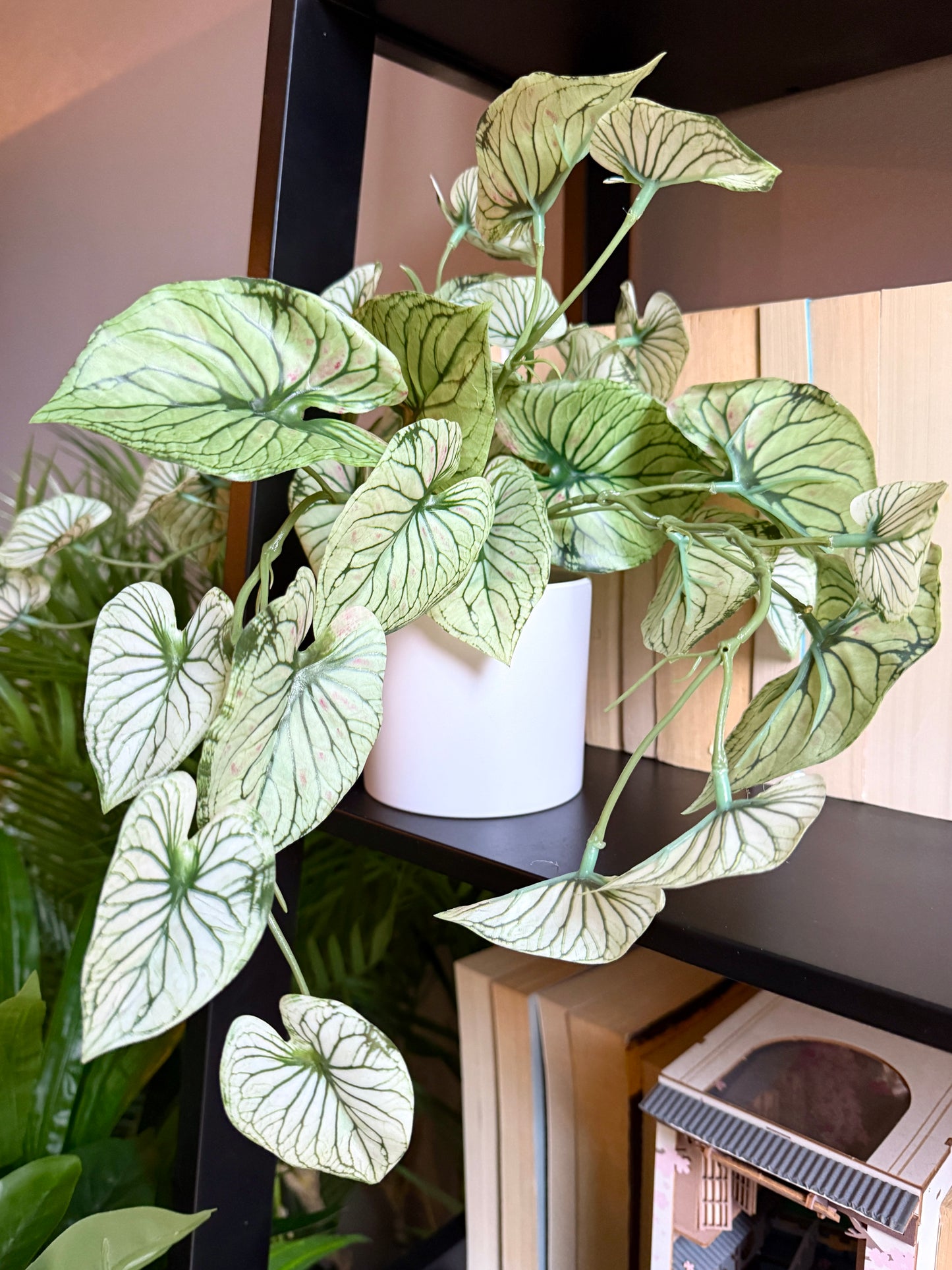 Front view of a Plantish artificial
variegated alocasia in a white pot, showcasing its striking green and white patterned leaves, placed on top of a black bookshelf.