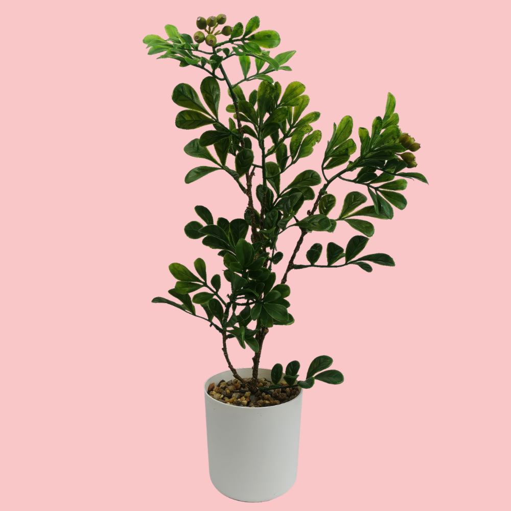 Front view of the Plantish Aglaia Odorata artificial bonsai with green leaves in a white plastic pot topped with gravel, on a pink background