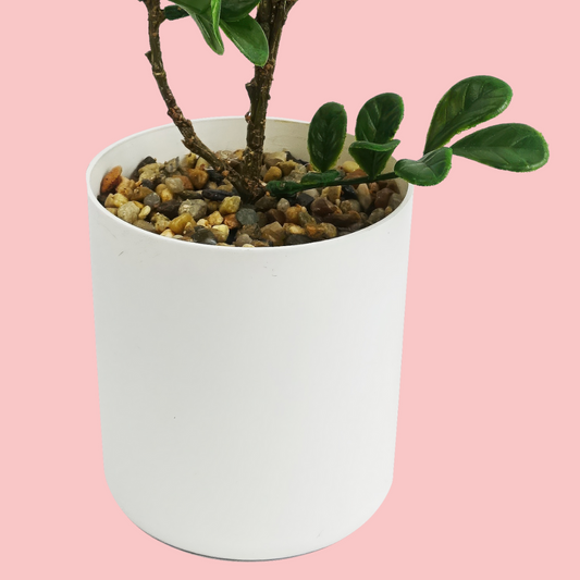 Close up of the base of the Plantish Aglaia Odorata artificial bonsai and white plastic pot topped with gravel, on a pink background
