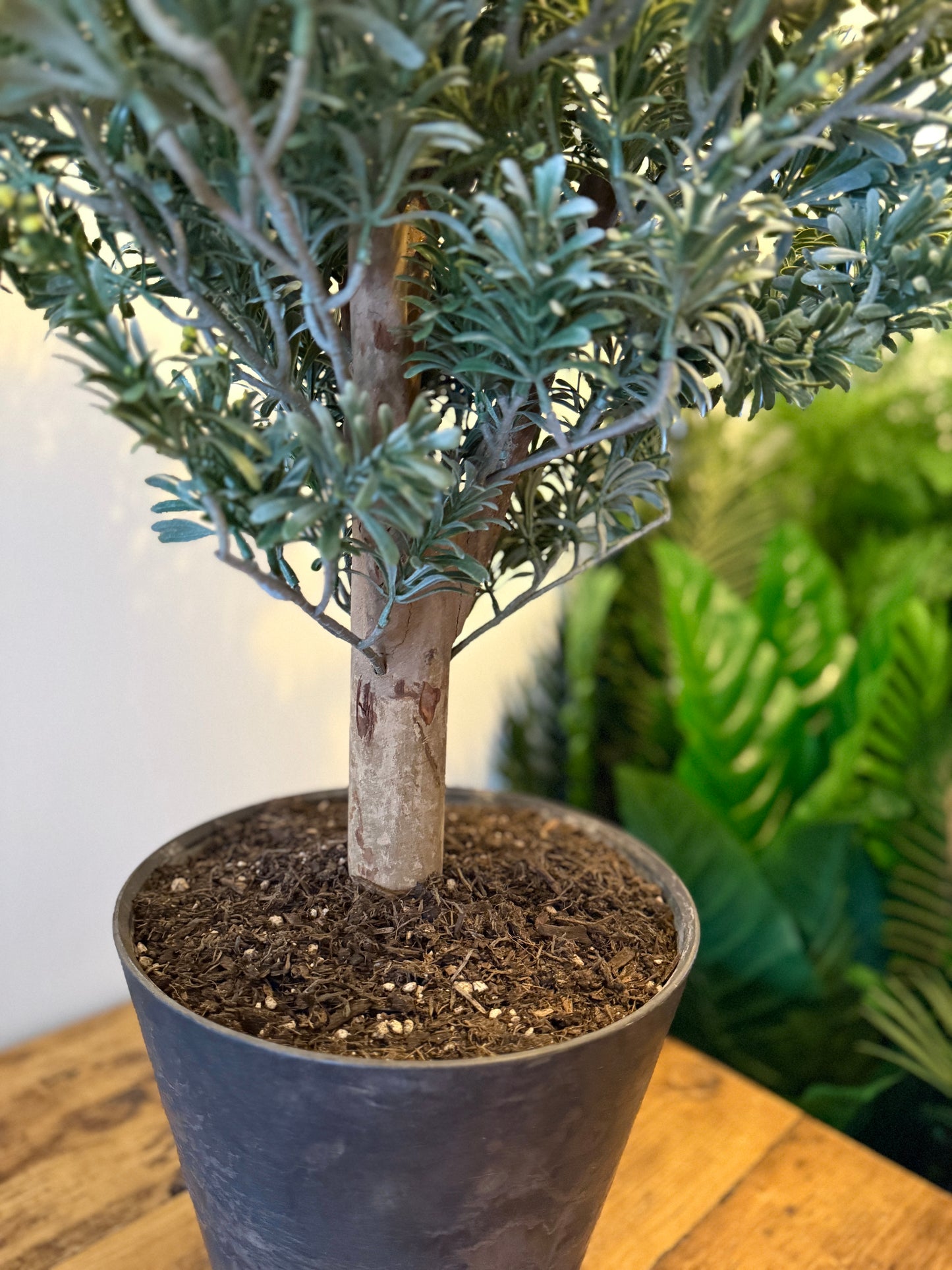 Back view of the Plantish artificial Artemisia, showcasing its real wood trunk and lower green-grey leaves, potted in a decorative grey pot with real soil.