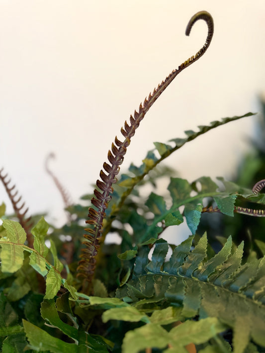 Back view of the Plantish artificial Boston Fern, highlighting the realistic arching fronds that mimic natural growth