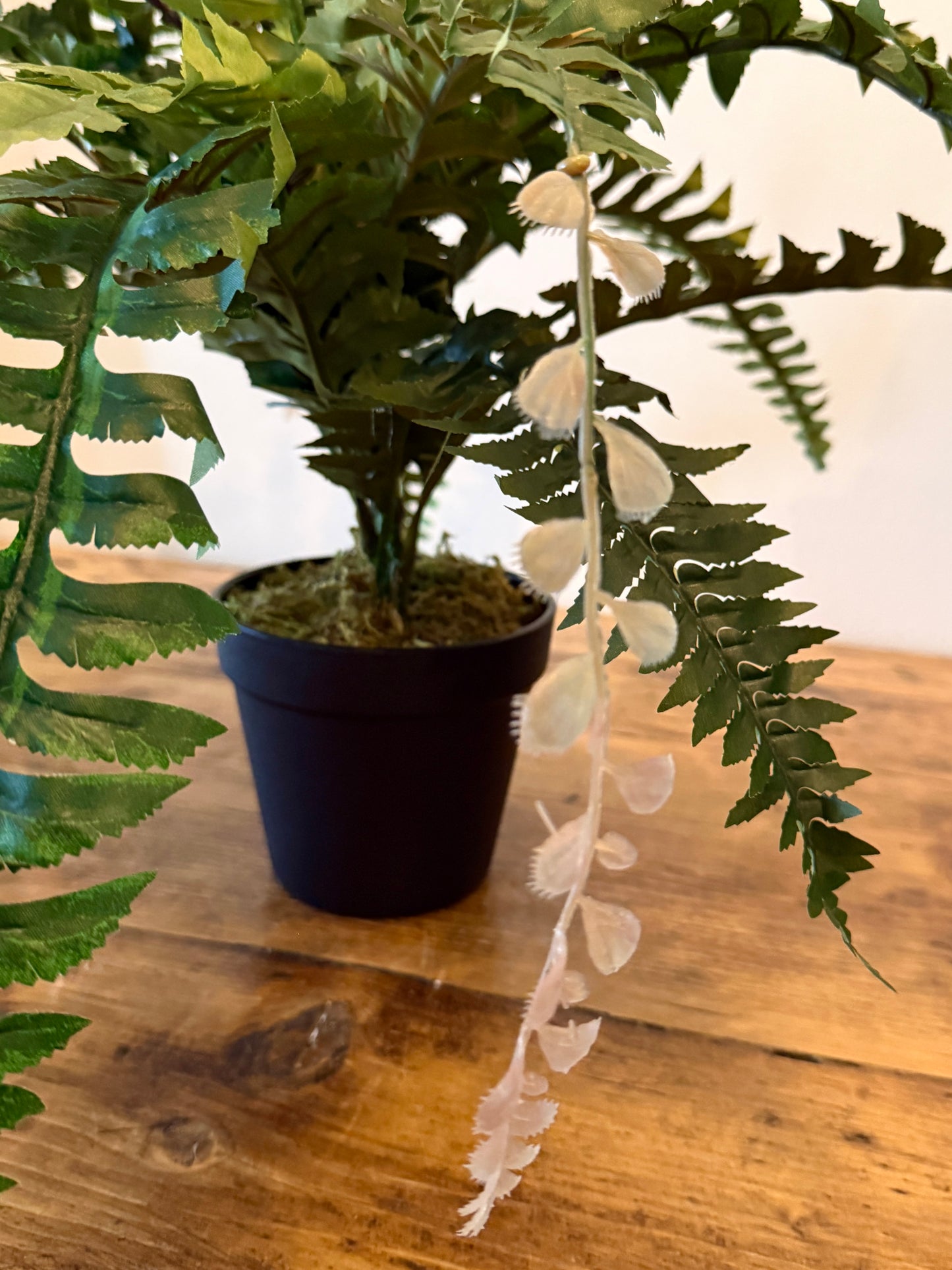 Close-up of the Plantish artificial Boston Fern, featuring delicate fronds with subtle browning for added authenticity, set in a black pot topped with moss.
