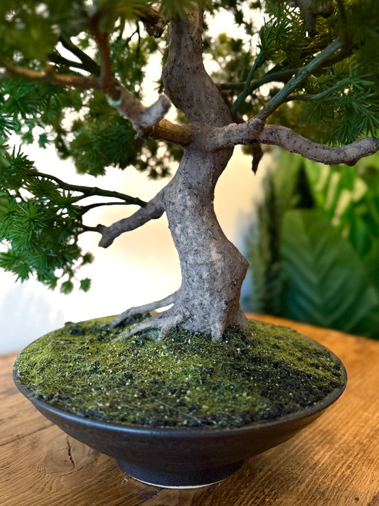 Close up of the artificial Plantish premium bonsai tree, highlighting the textured leaves, ceramic pot, and the lush faux moss-covered base.