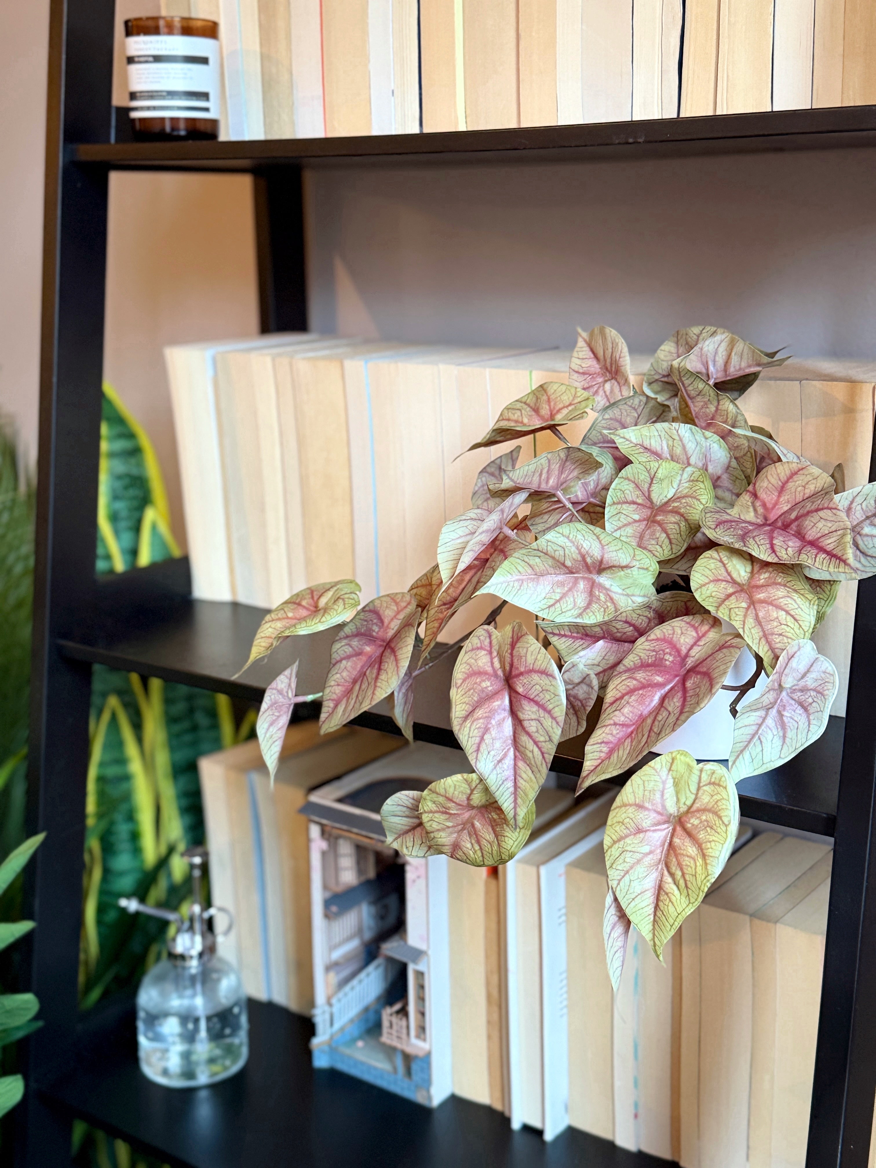 Wide angle view of a Plantish artificial pink caladium, showcasing the colourful pink and green leaves, and the sleek white pot, placed on the edge of a black bookshelf in front of some books.