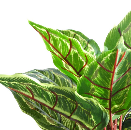 A close up of the Plantish Carrie the Artificial Calathea Veitchiane plant, highlighting the yellow and green leaves, and the red stems and veins.