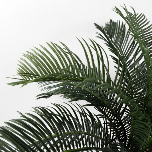 A close up of the green leaves of the Plantish artificial cycas palm tree, shown against a white background.