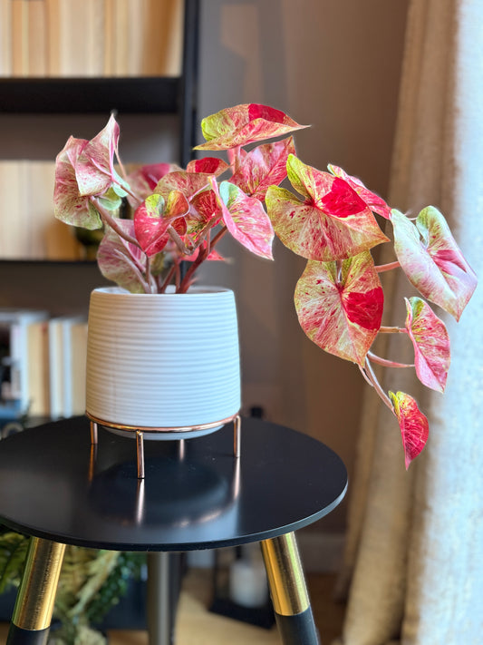 Front view of a Plantish artificial splash caladium with vibrant pink leaves and stems, placed in a white ridged pot on top of a black side table.
