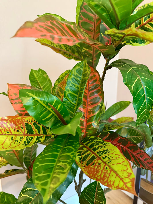 Close up of the Plantish artificial Croton’s dark green, light green, and red leaves, showcasing the realistic texture and colour variations.