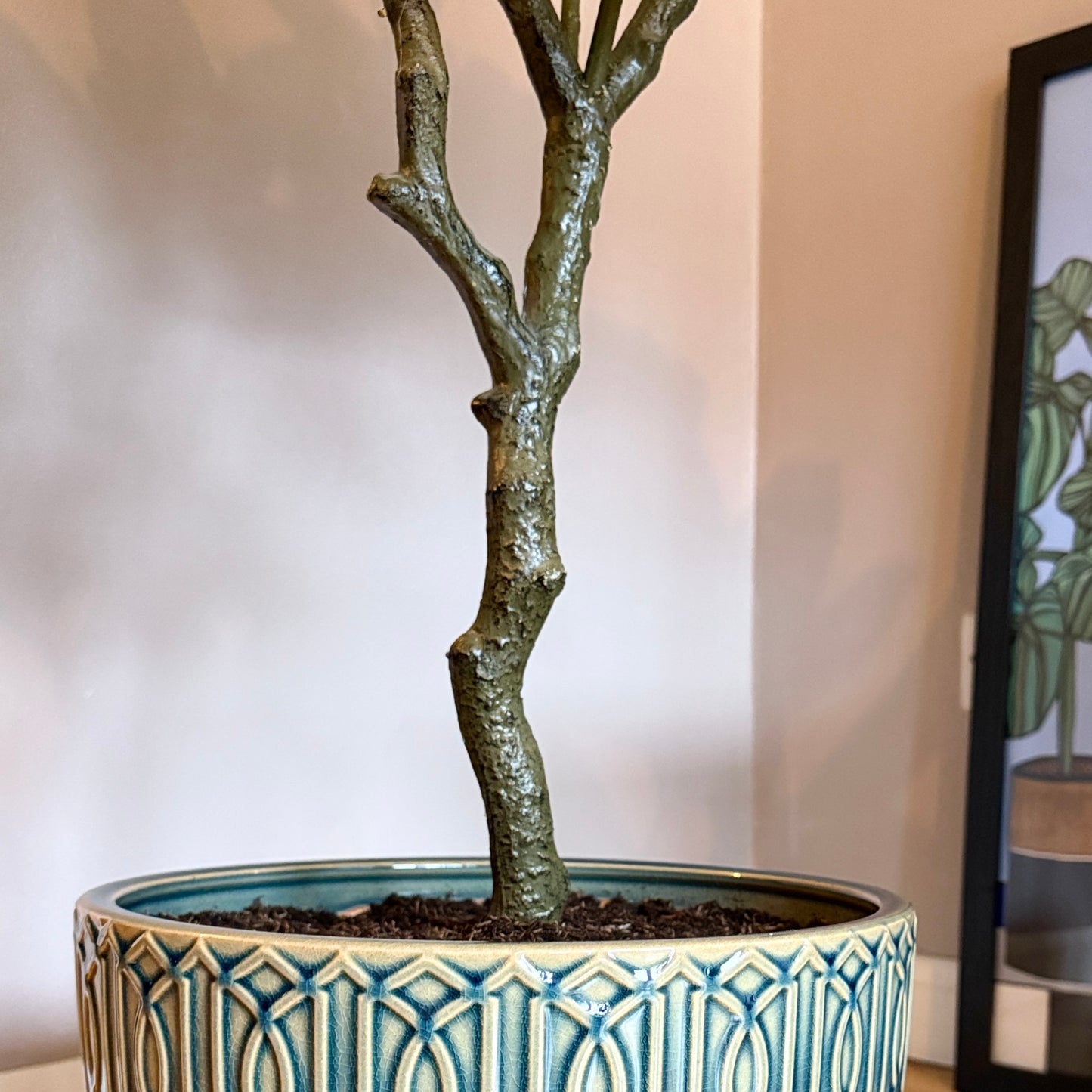 Close up of the stem of the Plantish artificial Croton, highlighting the detailed texture and potted in a decorative blue ceramic pot with real soil.