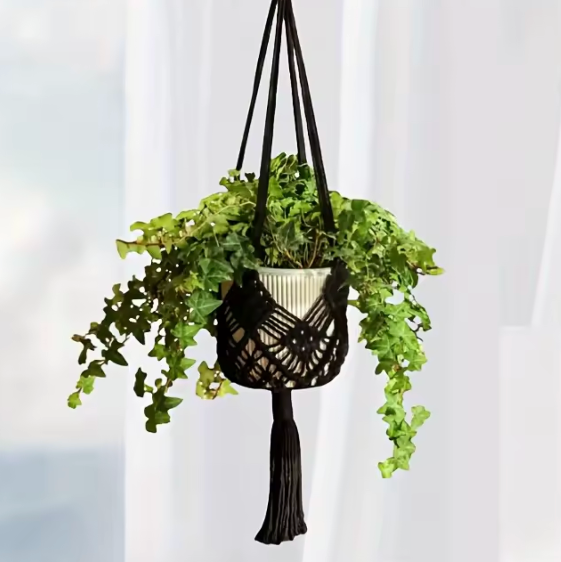 The Plantish Decorative Bohemian Macrame in Black, shown hanging in a white room and holding a green trailing plant in a white striped pot.