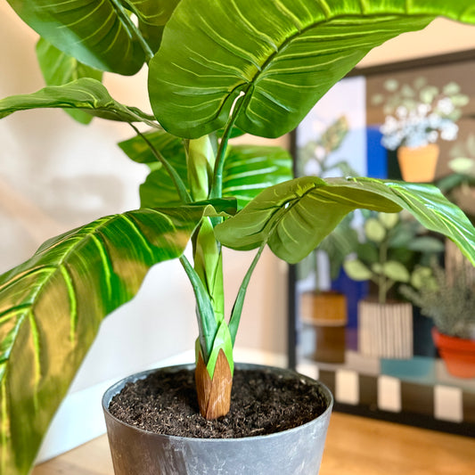 Back view of the Plantish artificial Elephant Ear Plant, showing the base of the stems and realistic green foliage, potted in a grey plastic pot with real soil.