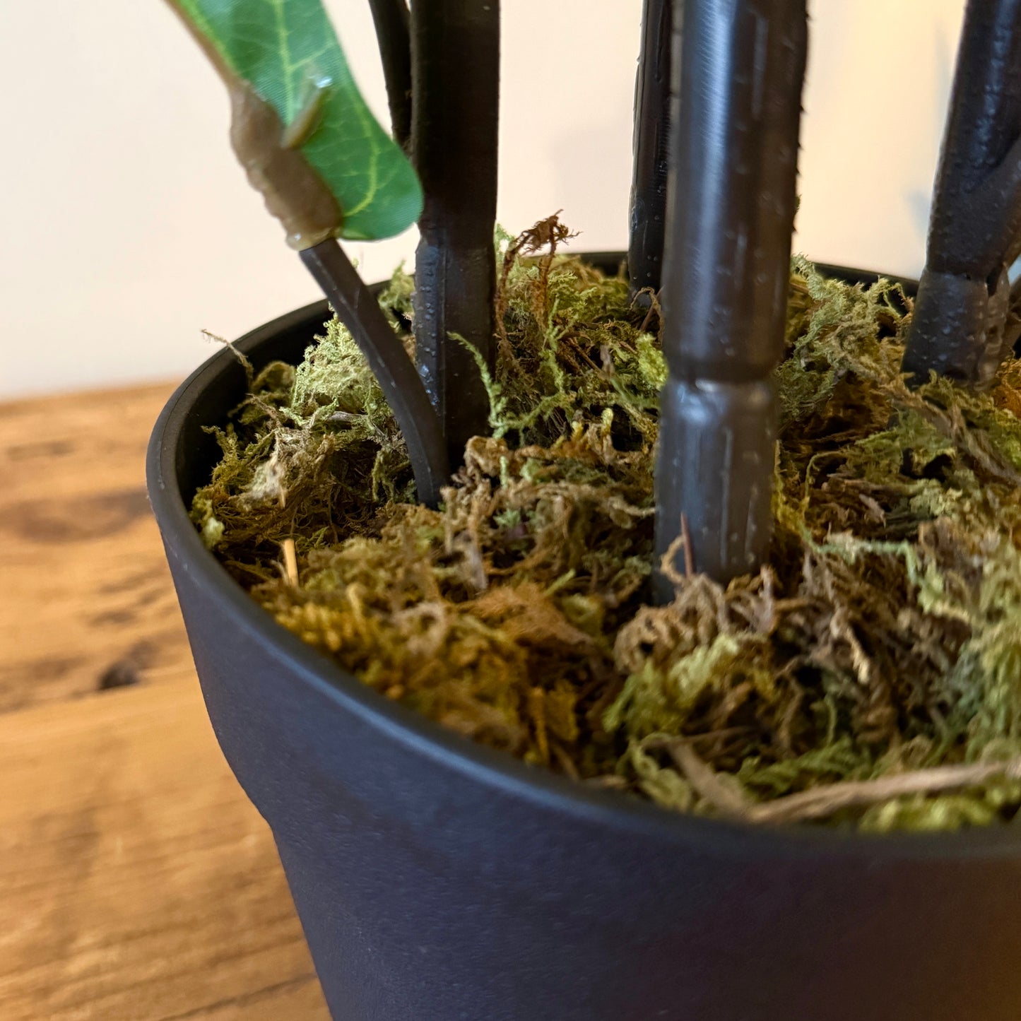 Close up of the Plantish artificial Fiddle-Leaf Fig, focusing on the black pot topped with moss, and the stems of the plant.