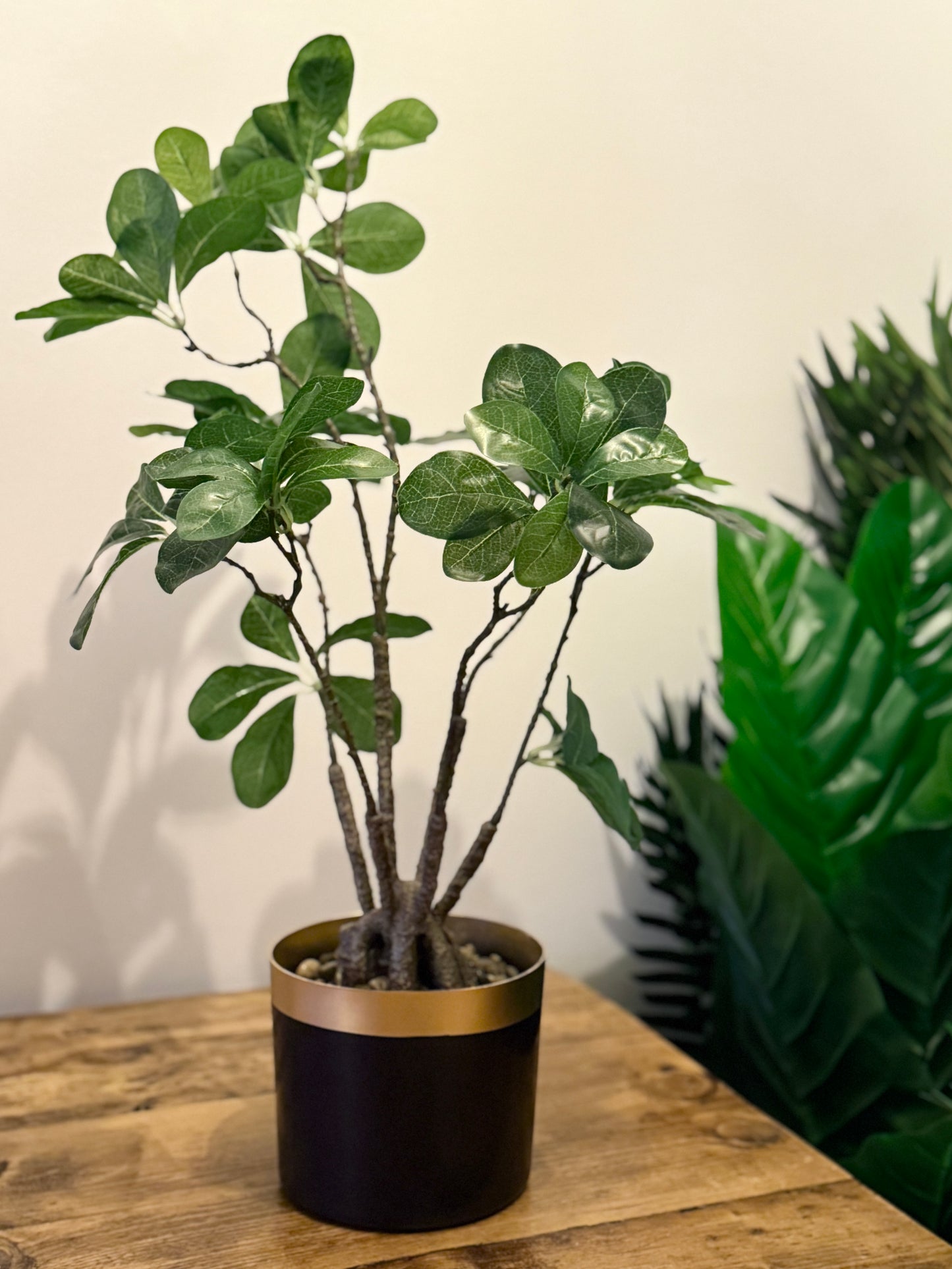 Back view of the Plantish realistic artificial Ficus Bonsai, highlighting the expertly crafted leaves and twisted trunk, potted in a black pot with a copper coloured rim. The natural design and compact size make it a perfect addition to modern decor.