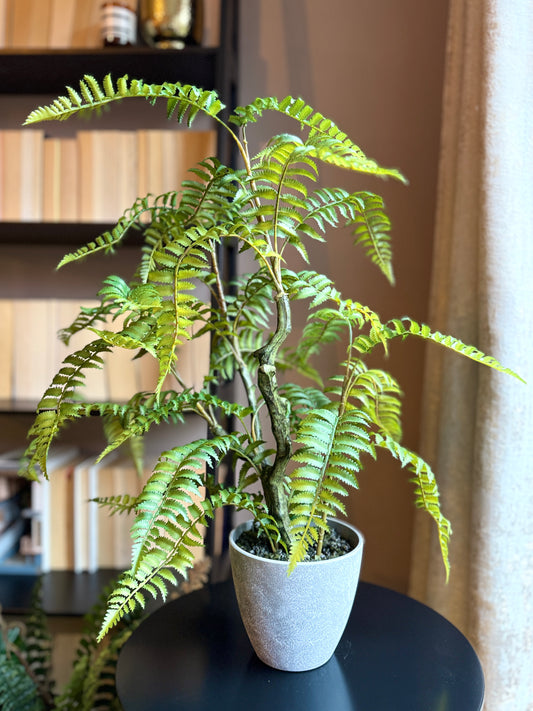 Sunlight hitting the back view of a Plantish artificial fern, showcasing the detailed stems and lush fronds in a grey ceramic-look plastic pot, on top of a black table.