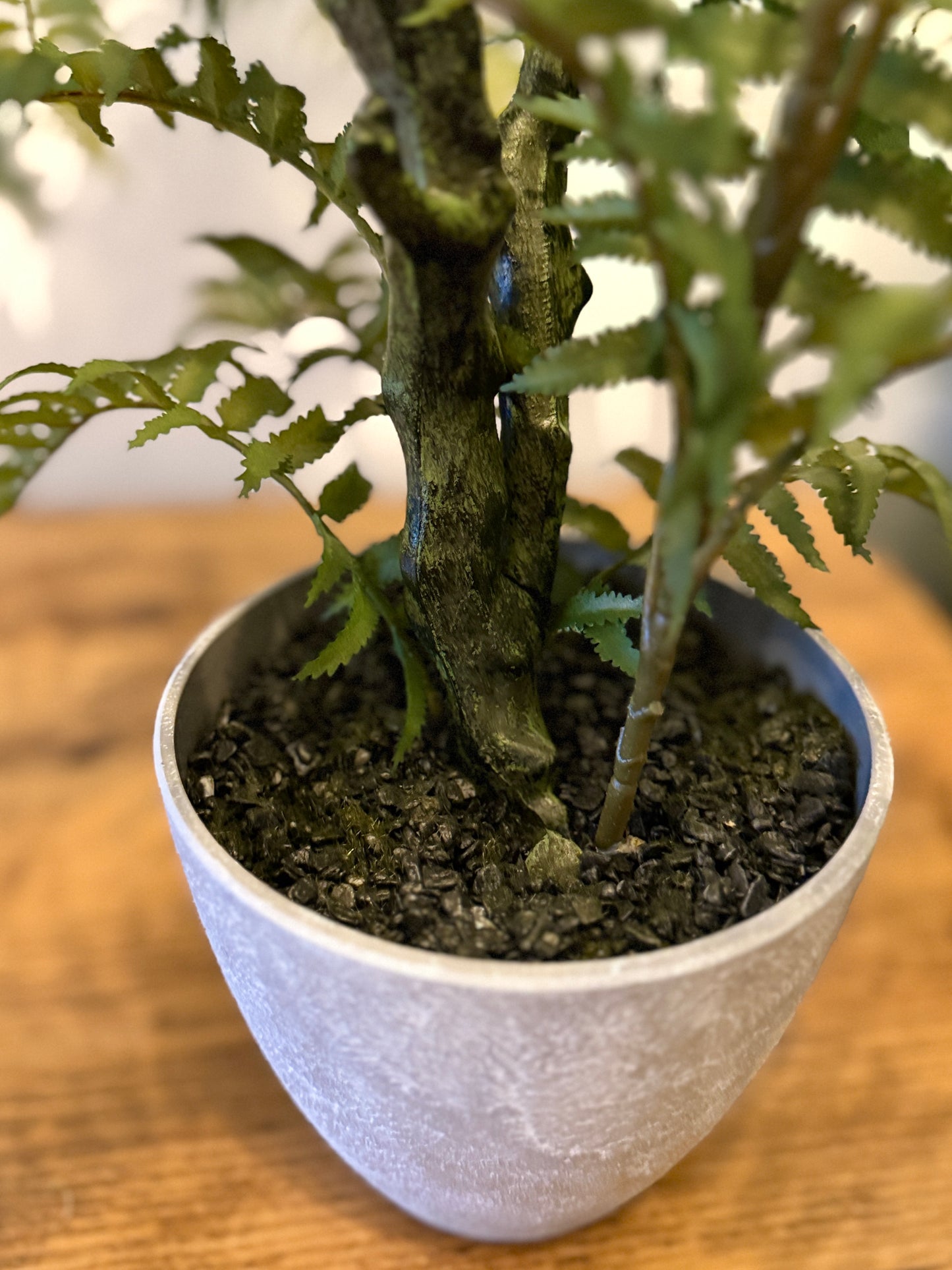 Close up of the Plantish artificial fern, highlighting the ultra-realistic stems and the soft texture of the fronds in a grey ceramic-look plastic pot with fixed black pebbles.