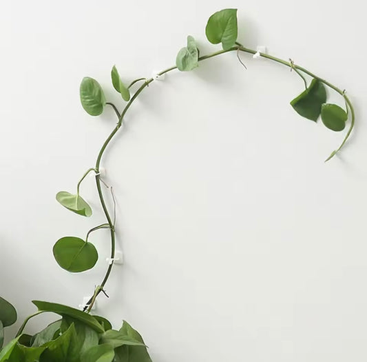 Climbing Plant Wall Clips