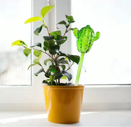 Cactus Plant Watering Bulb