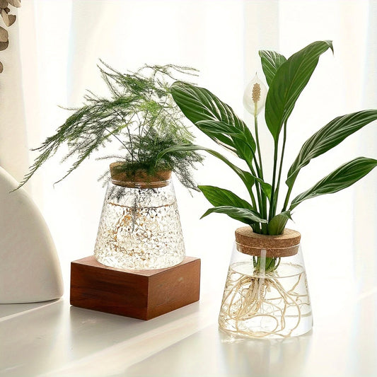 The Plantish Conical Glass Propagation Jar in Clear and Geometric designs. Both on a white table, the Geometric design on a small wood box. Both have green plants inside.
