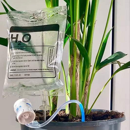 The Plantish IV Self Watering Plant Life Support Bag shown in a sunlit room and placed in a black plastic plant pot and watering a leafy green plant.