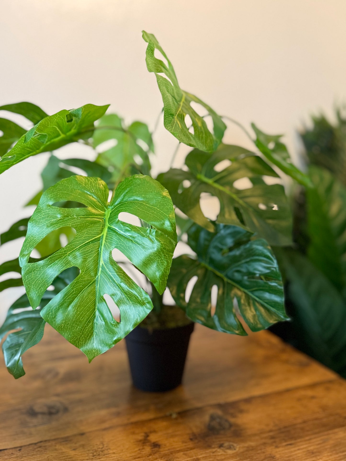Back view of the Plantish artificial Monstera, highlighting its lush green foliage.