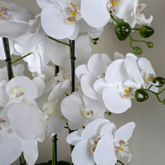 A close up of the Plantish Artificial Orchid showing the intricate white flowers, green stems and buds in detail, against a white wall.