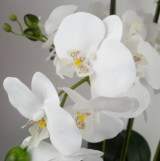 A close up of the Plantish Artificial Orchid showing the intricate white flowers, green stems and buds in detail, against a white wall.