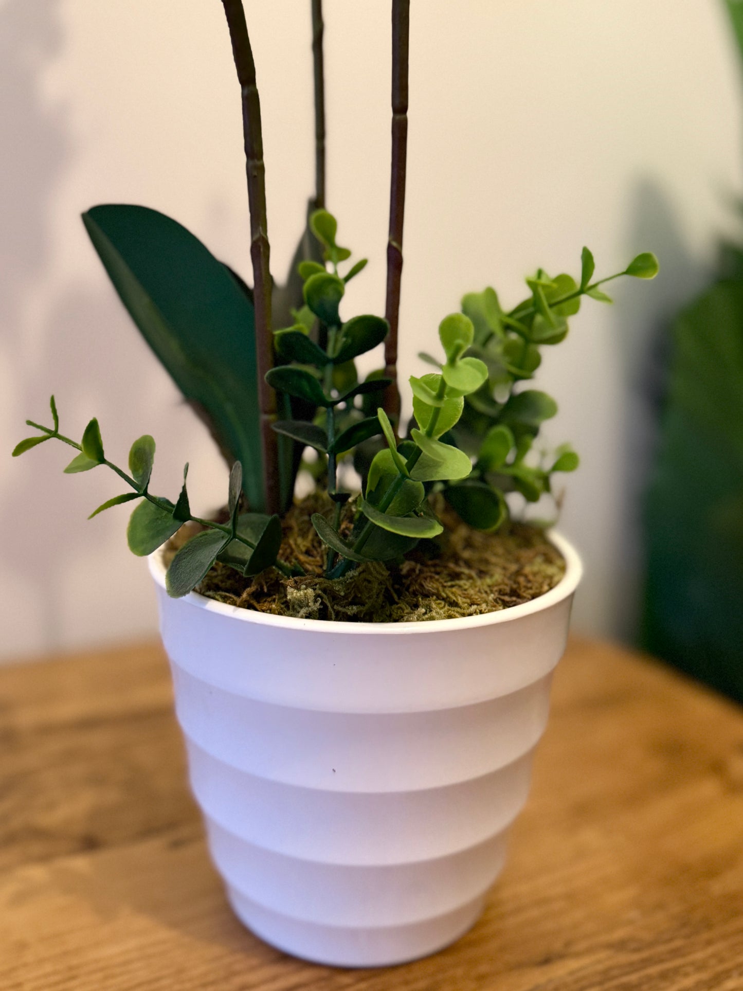 Close up of the Plantish artificial Moth Orchid, focusing on the white ribbed pot, the realistic base of the plant, and emerging lifelike green leaves.