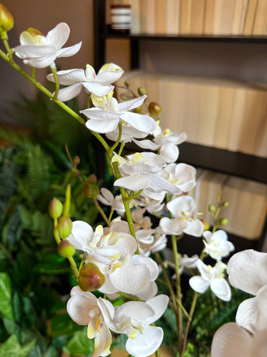 Close up of the Plantish artificial Moth Orchid, highlighting the intricate white petals, vibrant green stems, and soft natural curves of the flowers.