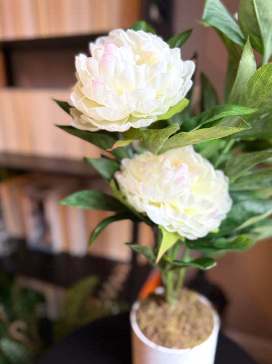 Front view of the Plantish artificial White Peony with soft white blooms and green foliage, in a sleek white pot.