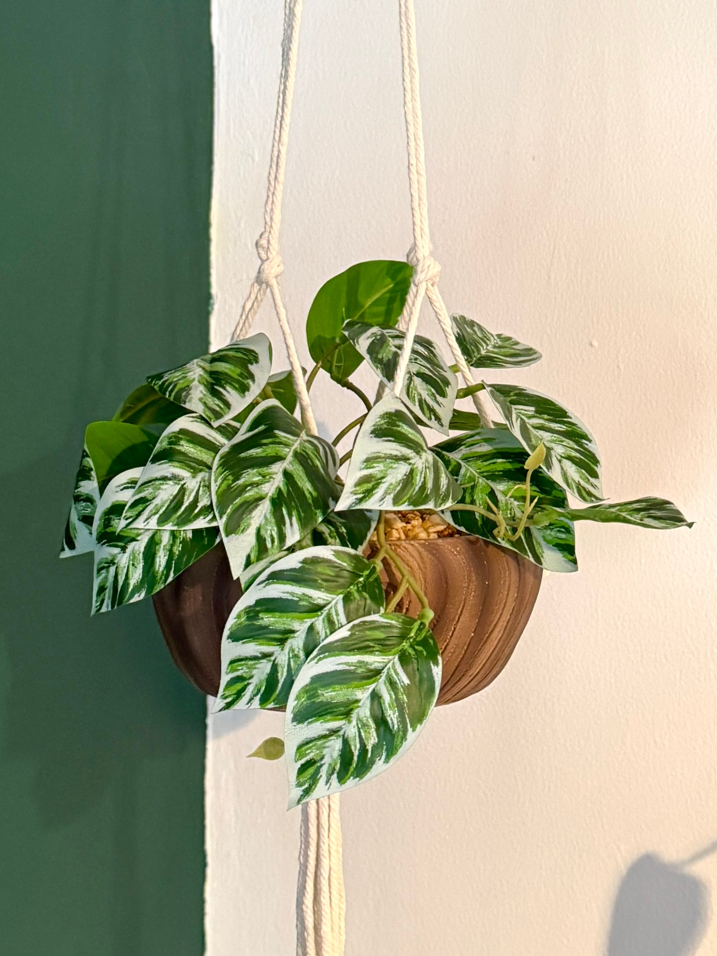 Close up of the Plantish artificial Pothos, showcasing its variegated green and white leaves, ceramic planter topped with stones, and the white string of the macrame.