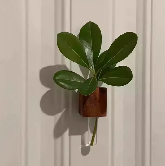 The Plantish Propagation Fridge Magnet shown in the Dark Wood variant, holding a green leaf plant cutting inside the glass vial. It is on a white background.
