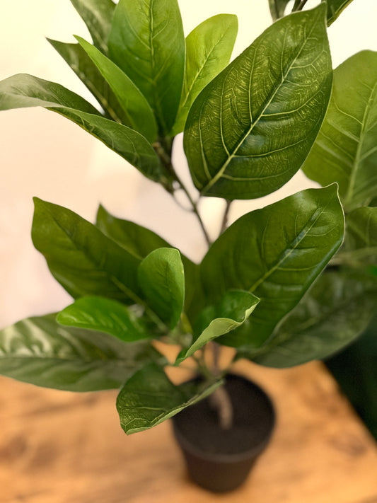 Back view of the Plantish artificial rubber plant, showing the realistic leaf texture and sturdy stems.