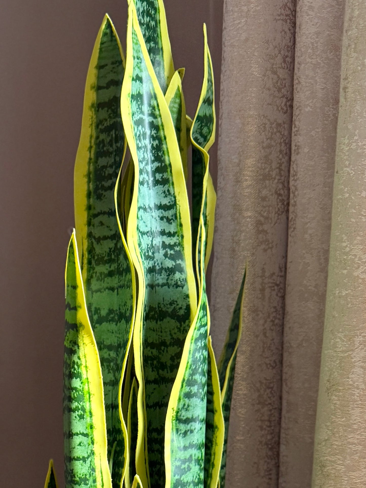 Close up of the Plantish artificial Snake Plant’s variegated leaves. The realistic textures and detailed leaf patterns of the sansevieria create an authentic low upkeep botanical look for any room.