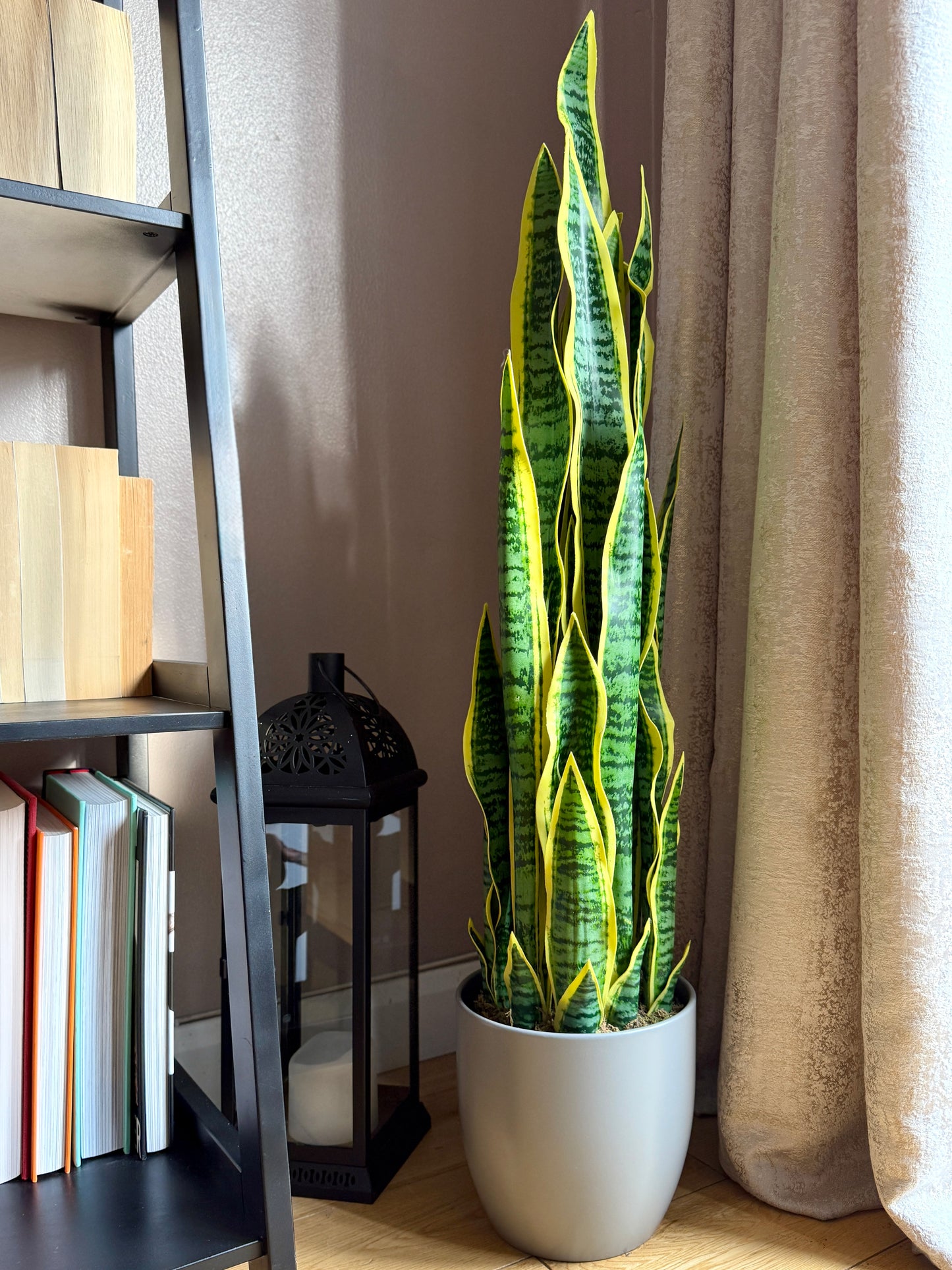 Front view of the Plantish artificial Snake Plant with tall, variegated green leaves, a moss covered base, in a sleep grey pot. This realistic sansevieria adds a modern, low maintenance statement to any space with its bold, sculptural look.