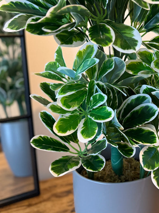 Close up of the base of the Plantish artificial Schefflera, showcasing the stems and the grey ceramic pot