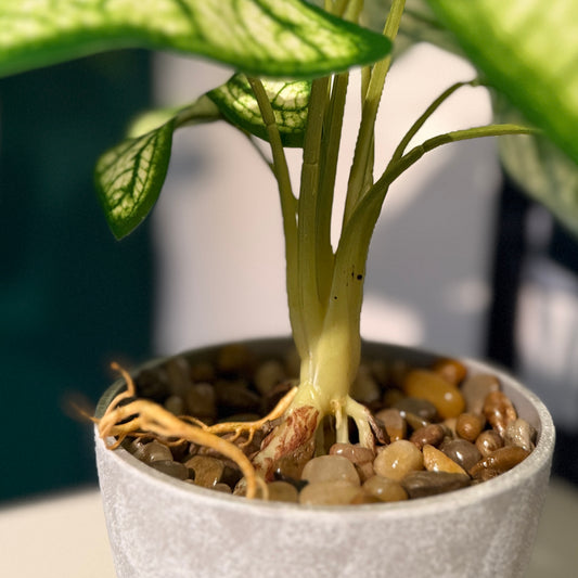 Close up of the base of the Plantish artificial light green Taro’s stem, showing the grey plastic pot with decorative stones and a trailing root coming out.