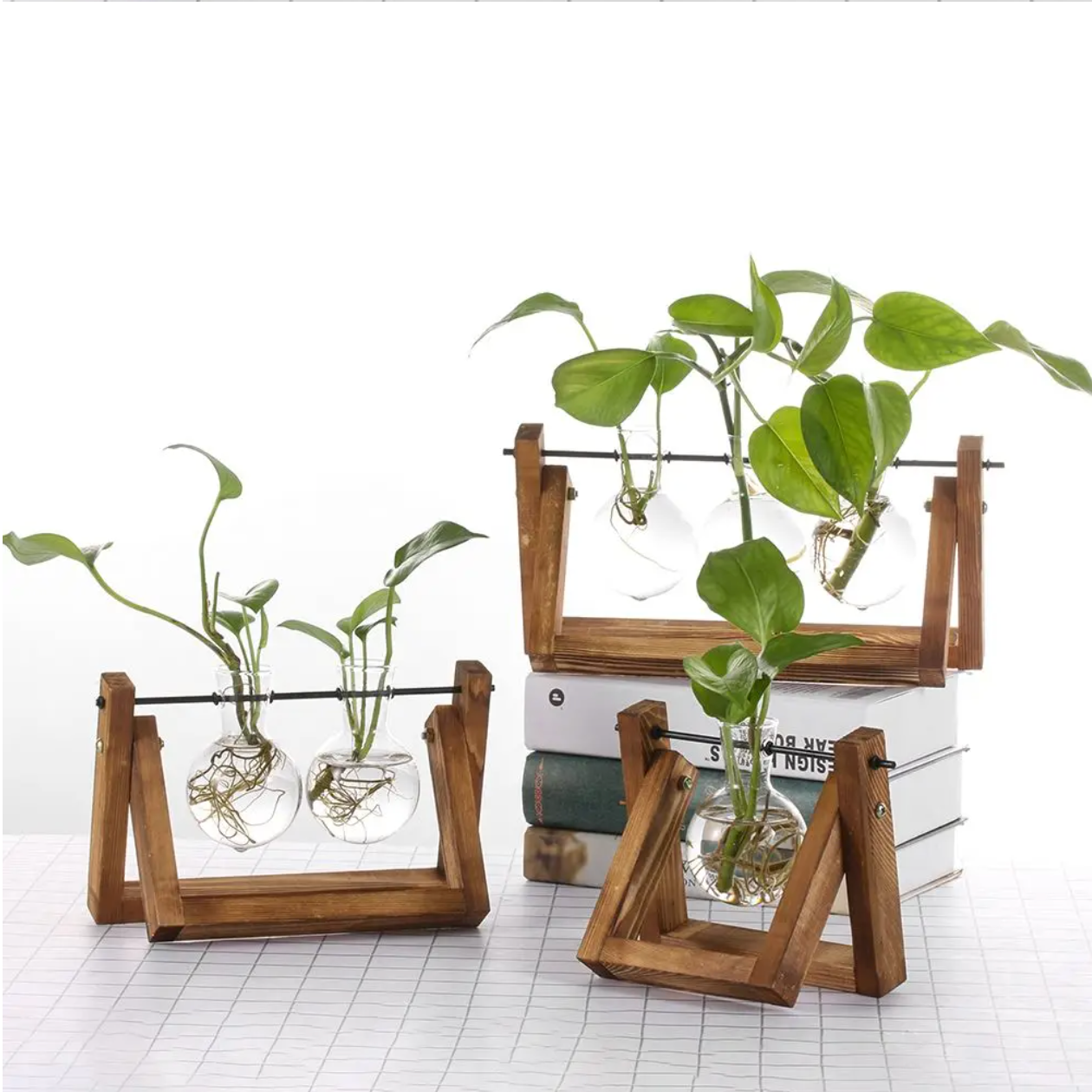 All variants of the Plantish Wood Frame Propagation Station, with green plant cuttings inside all of the glass containers. It is on a white background.