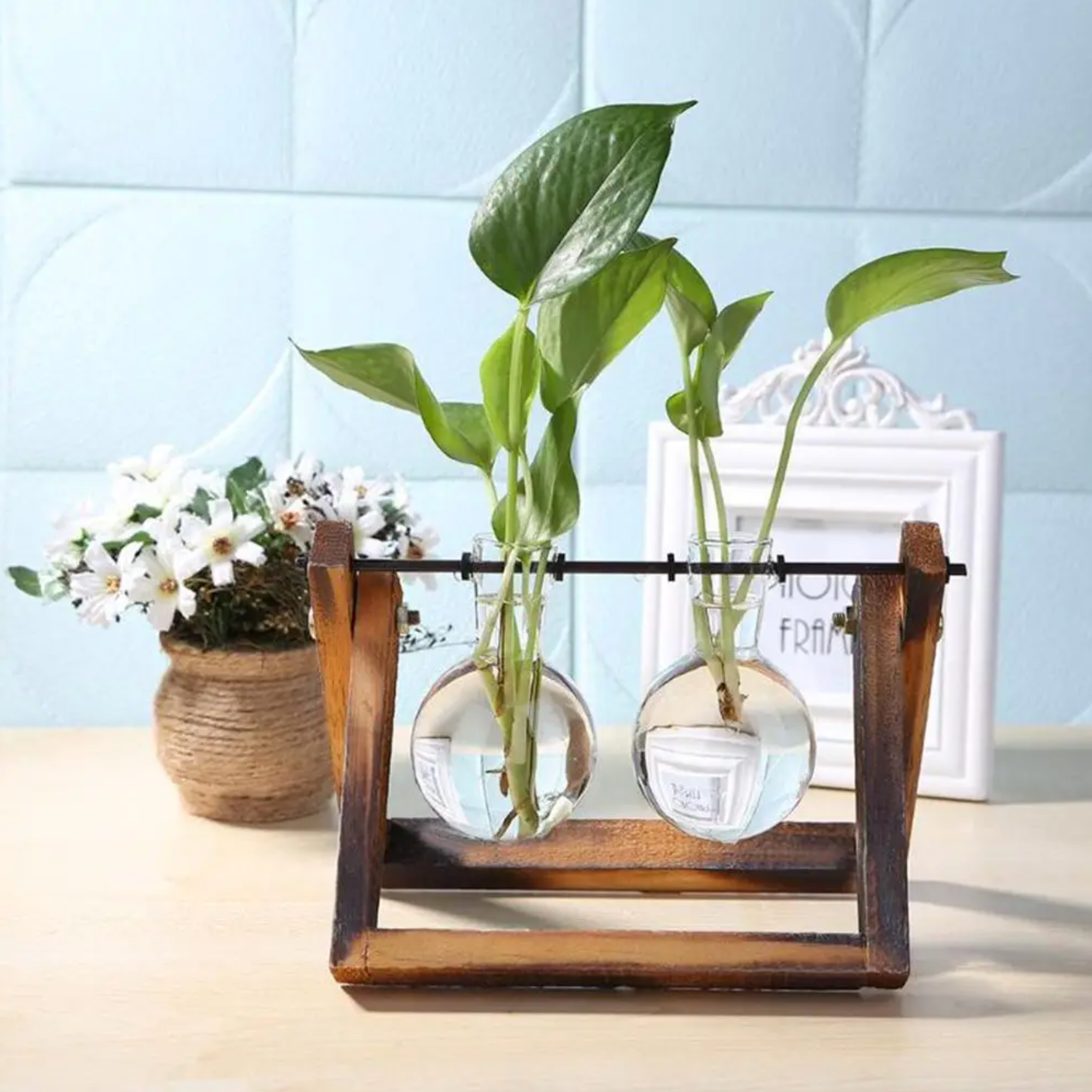 The Double Wood Frame Propagation Station, with green plant cuttings placed in both glass containers of the product. It is on a wood counter.