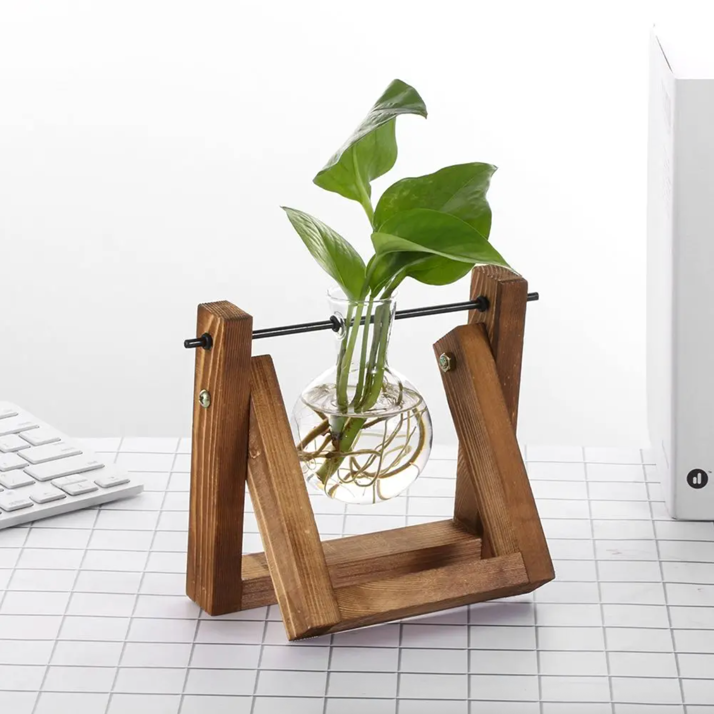 The Single Wood Frame Propagation Station, with a green plant cutting placed inside the glass container of the product. It is on a grid pattern surface.