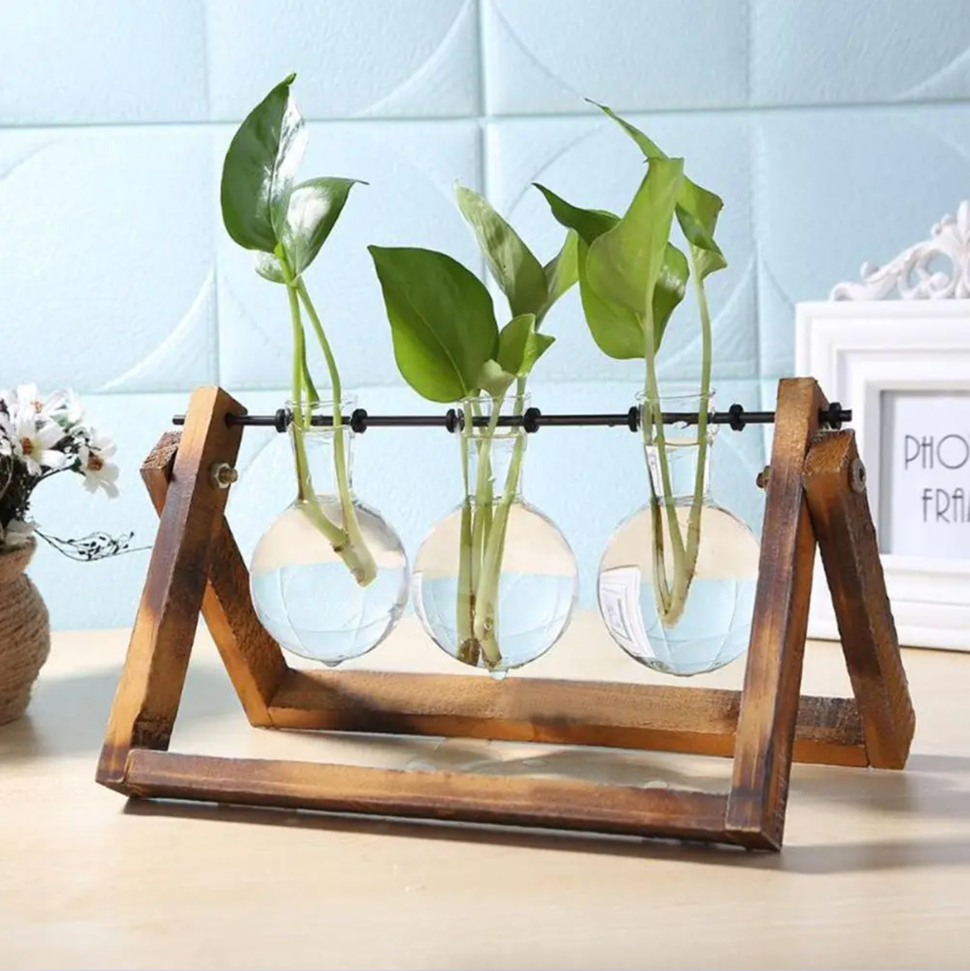 The Triple Wood Frame Propagation Station, with green plant cuttings placed in each of the three glass containers of the product. It is on a wood counter.