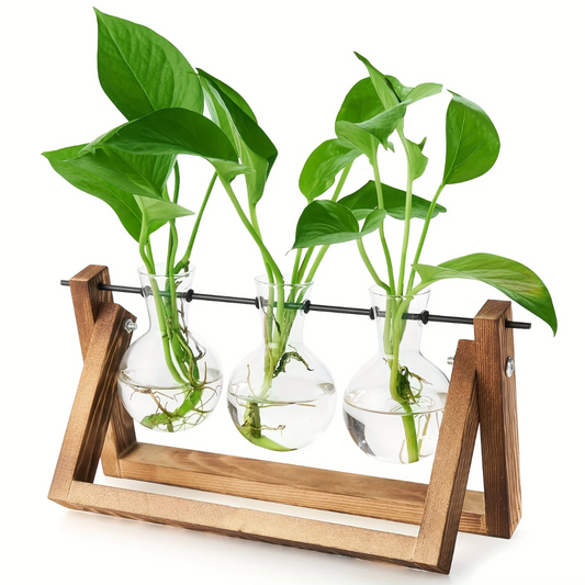 The Triple Wood Frame Propagation Station, with green plant cuttings placed inside each of the three glass containers. It is on a white background.