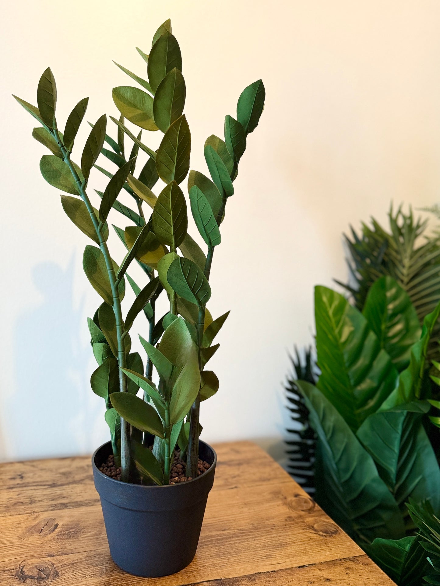 Back view of the Plantish artificial Zanzibar Gem (ZZ plant), highlighting the lush green foliage and black plastic pot.