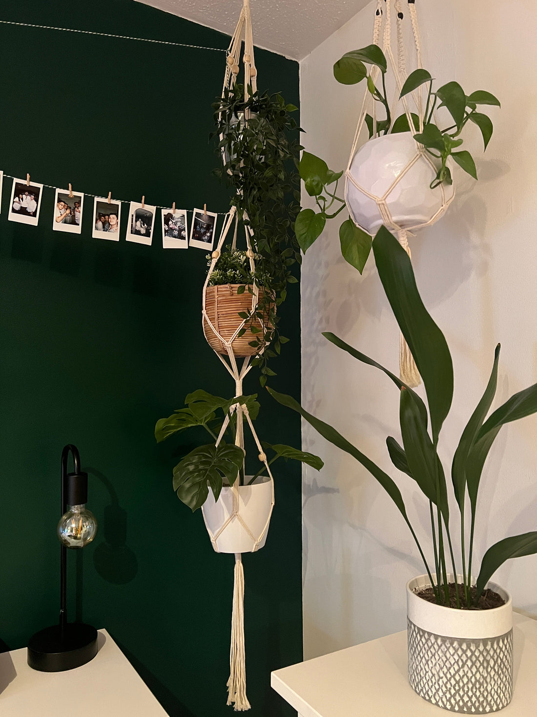 The Ultimate Guide to Decorating with Artificial Plants