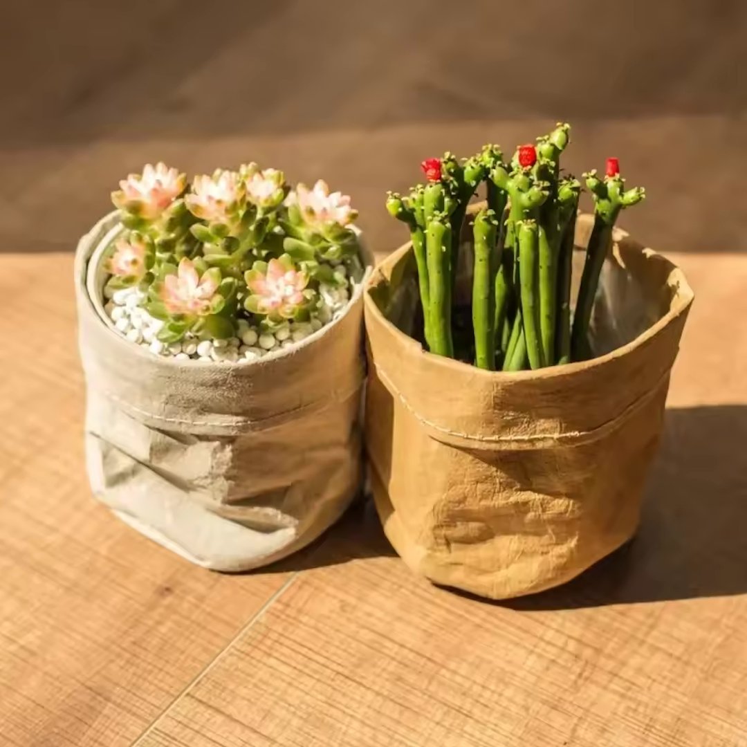 All Pots