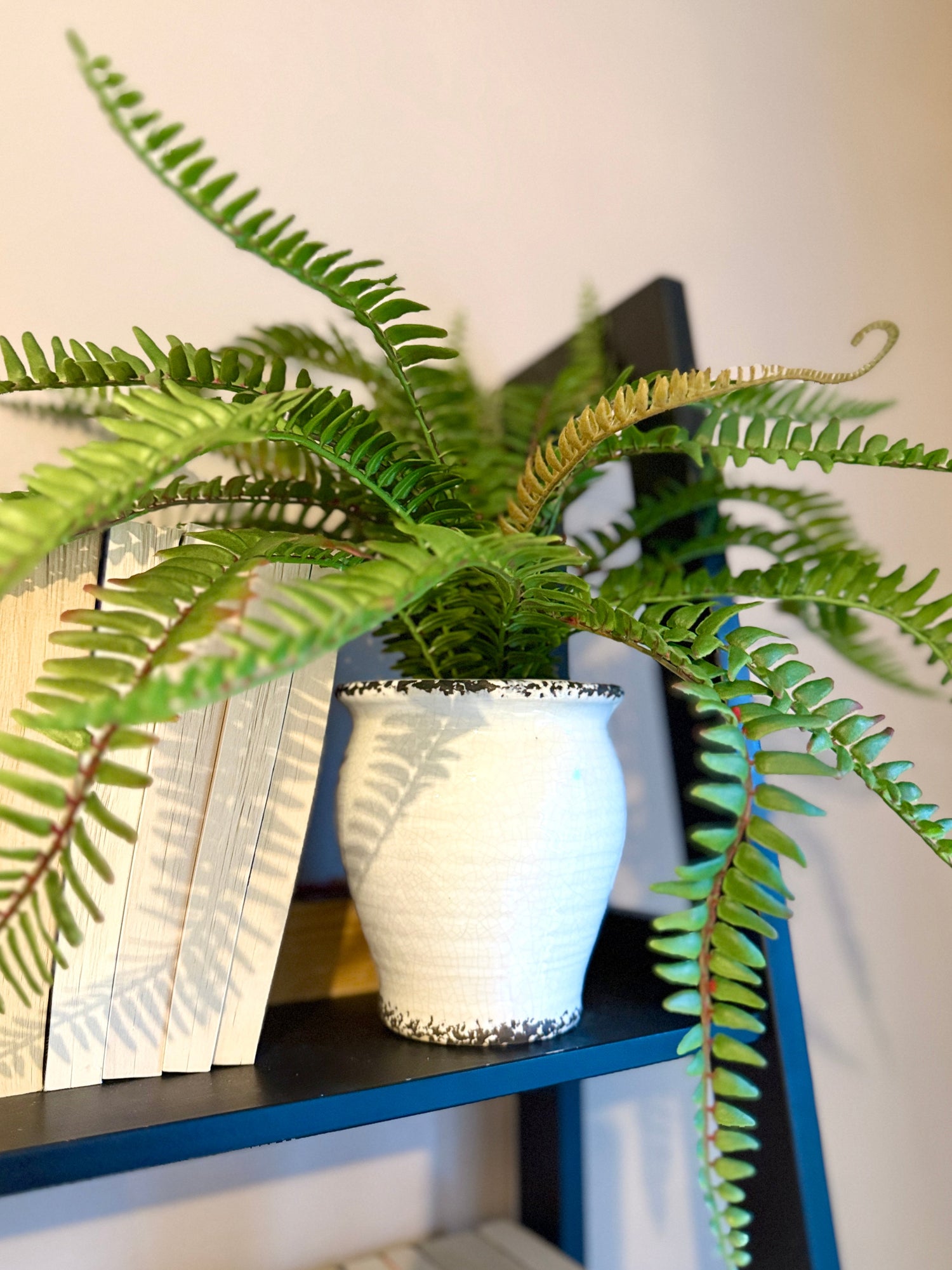 All Artificial Plants